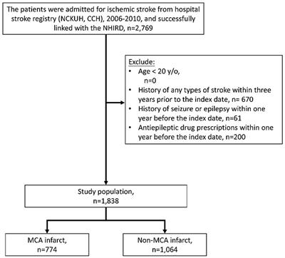 Risk of Incident Epilepsy After a Middle Cerebral Artery Territory Infarction